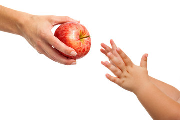 Babies hands reaching out to apple.