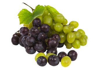 bunch of grapes isolated