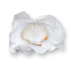 Tissue Paper with shell
