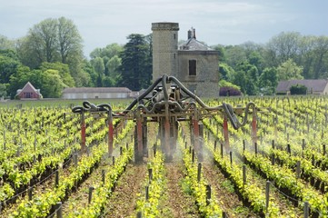 Weinanbau in Burgund