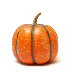 Fake Pumpkin