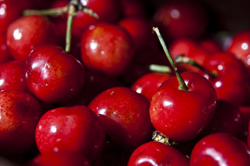 Fresh Cherries