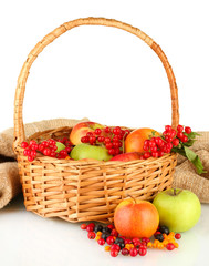 crop of berries and fruits in a basket