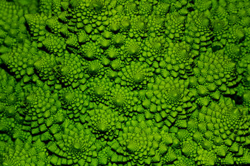 Green cabbage closeup - obrazy, fototapety, plakaty