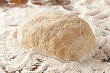 Fresh Homemade Bread Dough