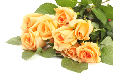 beautiful bouquet of roses and petals isolated on white