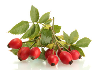 ripe hip roses on branch with leaves, isolated on white