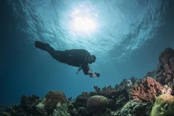 Printed kitchen splashbacks Diving diver on a reef