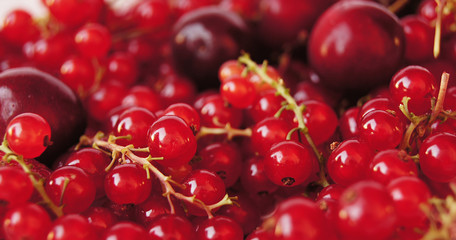 Fresh delicious and healthy red fruit