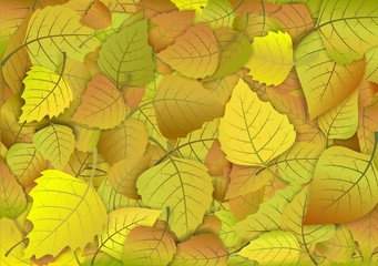 Autumn background of yellow leaves