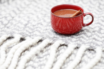 Fototapeta na wymiar hot chocolate with cinnamon