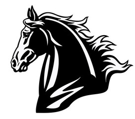horse head black white