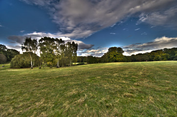 Hampstead Heath HDR