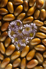 Concept heart, love.