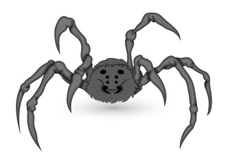 Poisonous Vector Spider