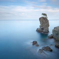 Portofino park. Pine tree rock cliff. Long exposure. Liguria, It