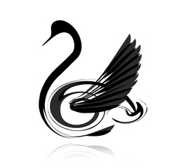 Abstract vector black swan