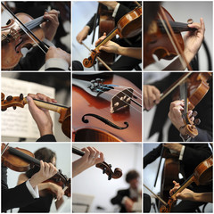 collage Violin detail musicians to play a symphony