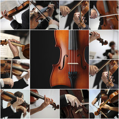 collage Violin detail musicians to play a symphony - 45816937