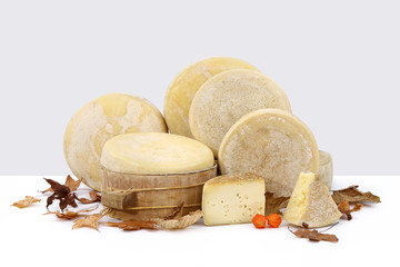 composition of cheeses on white table with autumn leaves