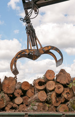 Loading of felled timber in a truck with crane