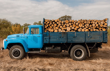 Loading of felled timber in a truck with crane