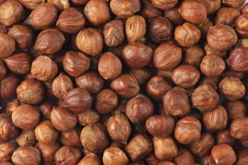 Hazelnuts close-up