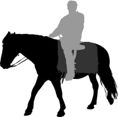 Vector silhouette of horse and man