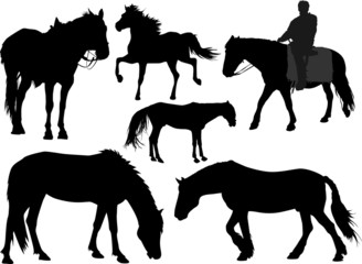 Vector set of silhouettes of a horse