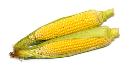 Isolated corn. Element of design.