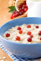 bowl of oatmeal with berry on napkin