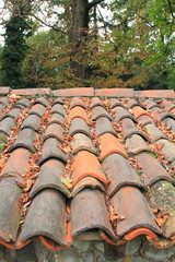 Rustico con foglie d'autunno sul tetto