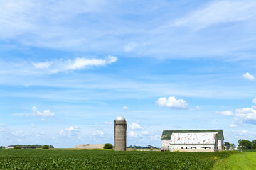 American Farm
