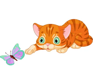 Photo sur Plexiglas Chats Le chaton joue avec le papillon