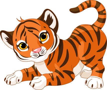 Playful tiger cub