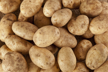 Fototapeta Fresh Organic Whole Potato obraz