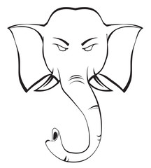 elephant