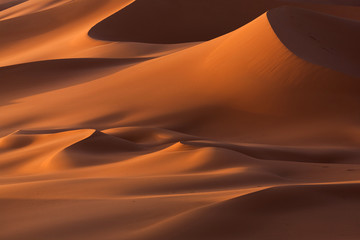 Sand dunes, desert - obrazy, fototapety, plakaty