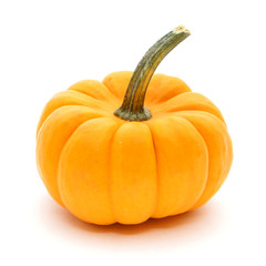 Single mini pumpkin over a white background