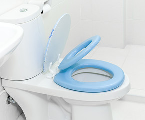 Baby toilet bowl design and apply for use with adult toilet