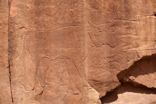 Petroglyphs on the rock