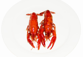 Boiled crawfish
