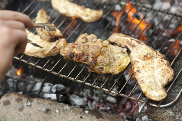 grilled bbq pork ribs