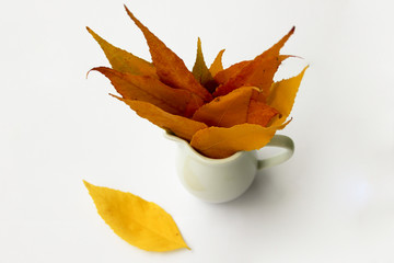 Autumn leaves in vase isolated on white