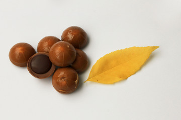 Chocolate candies on white background with yellow leaf