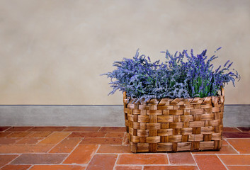 Lavender in a basket