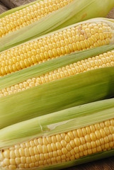 corn cob