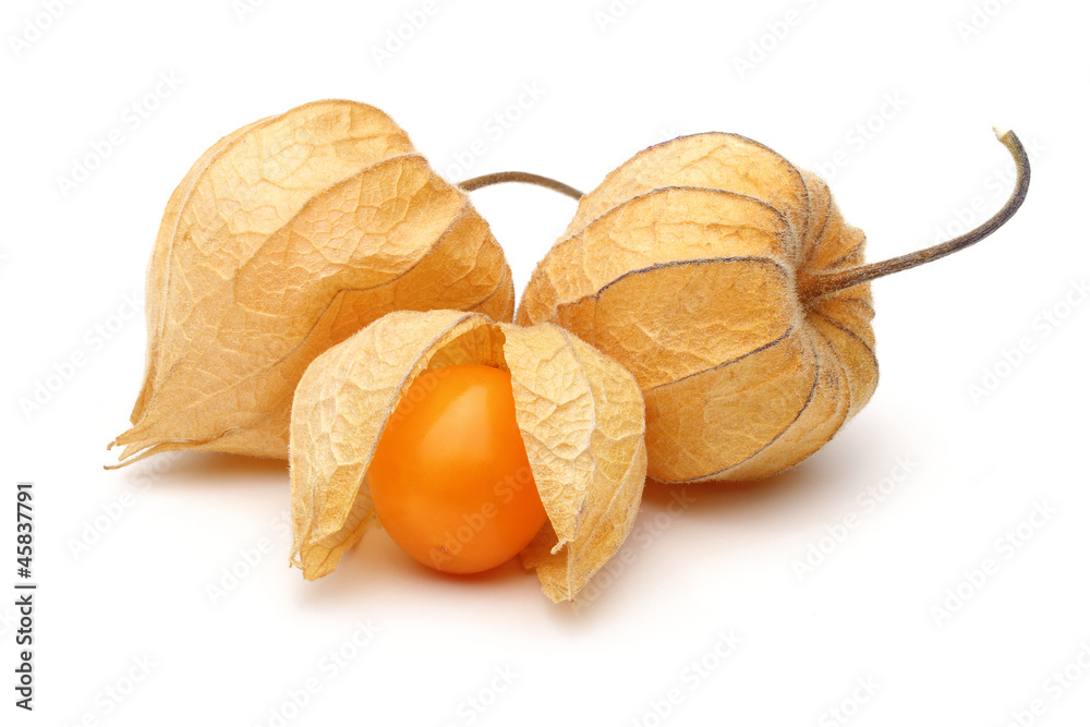 Sticker three physalis fruits