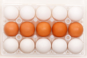 Eggs in box