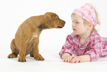 cute little girl with rhodesian ridgeback puppy